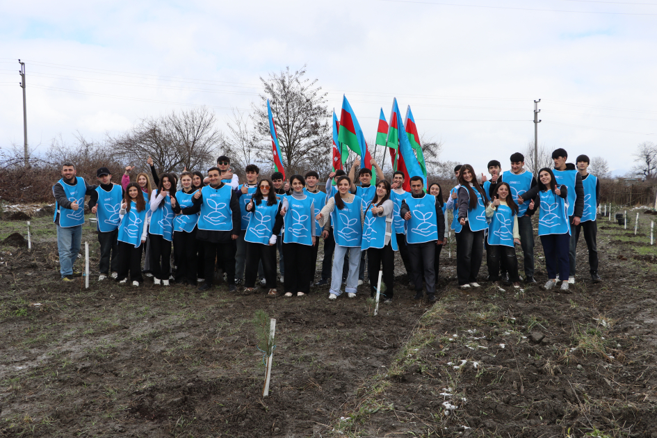Şəki və Qəbələdə 1500-ə yaxın ağac əkilib (FOTO)