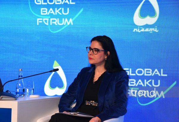 Mənzil məsələsinin həlli üçün kompleks yanaşma tələb olunur - Ana Birçall