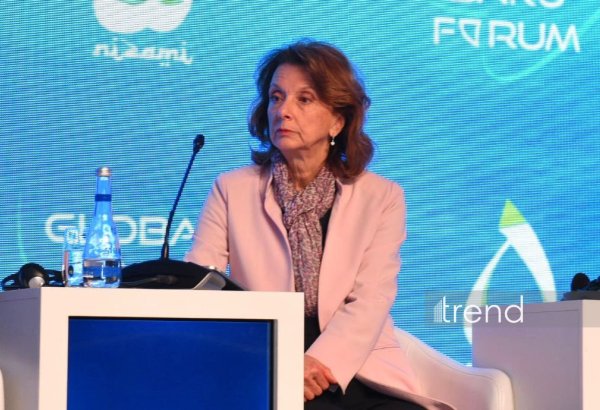 Dünya qlobal texnoloji sistemlərin parçalanması ilə üzləşə bilər - Peyanoviç-Durişiç