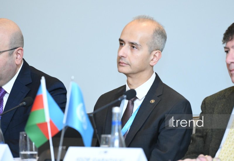 Orta Dəhlizin inkişafı balanslaşdırılmış yanaşma tələb edir - İrfan Əli