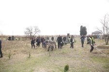 Xaçmazın şəhər, qəsəbə və kənd qəbiristanlıqlarında geniş iməcilik aksiyaları keçirilib (FOTO)