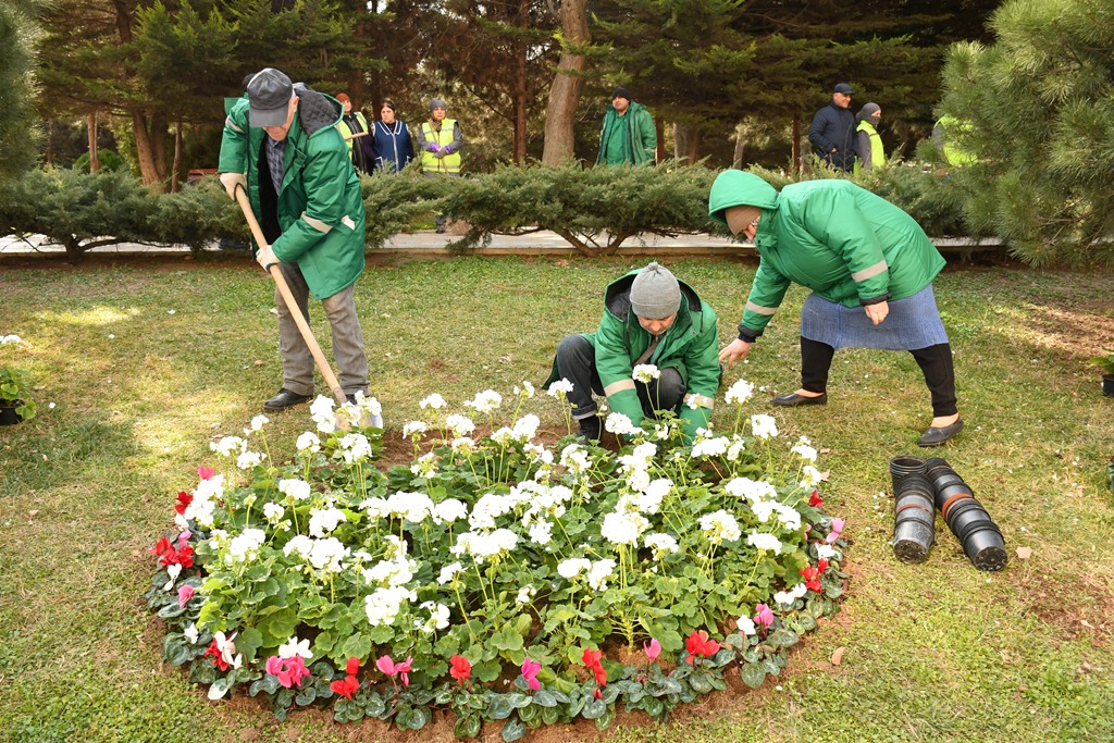 Bakıda Novruz ərəfəsində geniş təmizlik işləri aparılıb (FOTO)