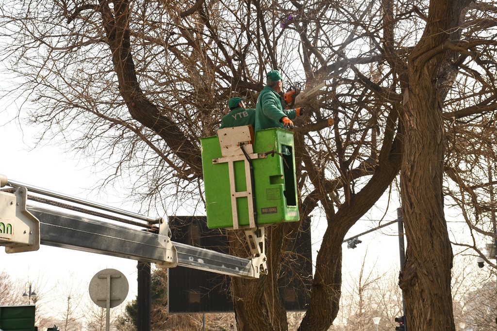 Bakıda Novruz ərəfəsində geniş təmizlik işləri aparılıb (FOTO)