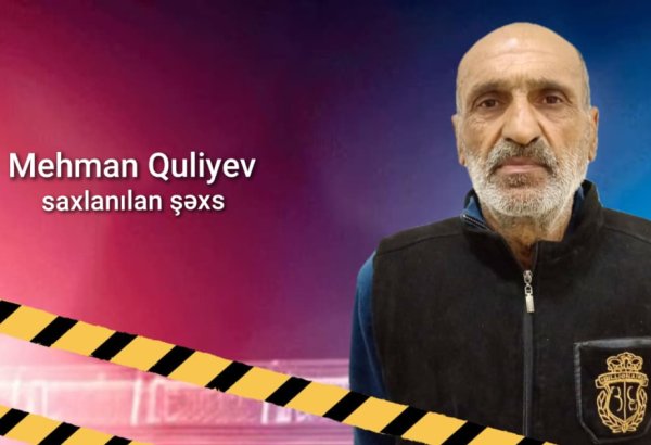 Lənkəranda yaşayış evlərini talayan şəxs saxlanılıb