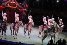 Bakıda ilk dəfə olaraq Türkmənistanın əfsanəvi "Qalkınış" atçılıq şousu keçirilib (FOTO)