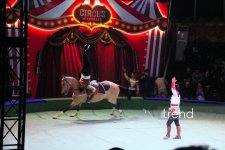 Bakıda ilk dəfə olaraq Türkmənistanın əfsanəvi "Qalkınış" atçılıq şousu keçirilib (FOTO)