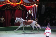 Bakıda ilk dəfə olaraq Türkmənistanın əfsanəvi "Qalkınış" atçılıq şousu keçirilib (FOTO)