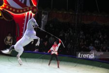 Bakıda ilk dəfə olaraq Türkmənistanın əfsanəvi "Qalkınış" atçılıq şousu keçirilib (FOTO)