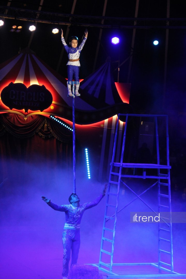 Bakıda ilk dəfə olaraq Türkmənistanın əfsanəvi "Qalkınış" atçılıq şousu keçirilib (FOTO)