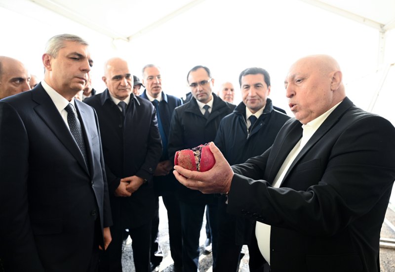 Xocavənd rayonunda bağçılıq təsərrüfatına baxış keçirilib (FOTO)