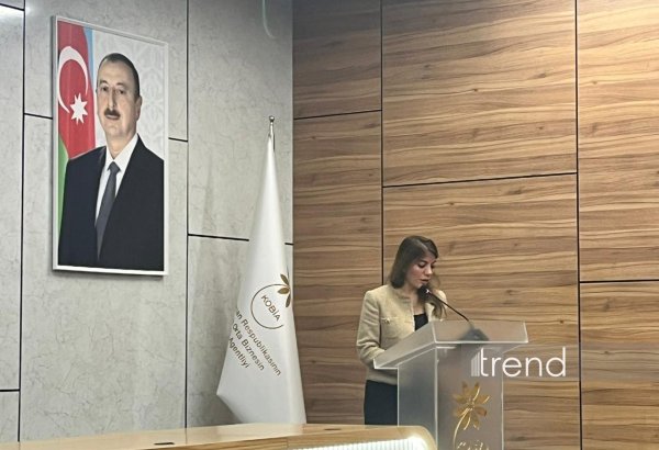 Ələt Azad İqtisadi Zonası regional logistika və sənaye habına çevrilir - AZPROMO rəsmisi