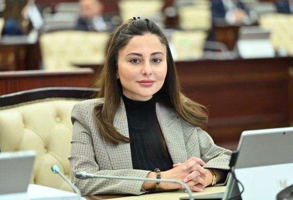 Deputat Əminə Ağazadə Qanuna əlavələri təqdim etdi