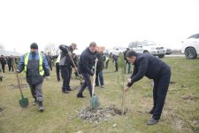 Xaçmazda Ramazan və Novruz münasibətilə ağacəkmə aksiyası keçirildi(FOTO)