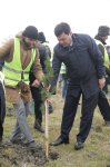Xaçmazda Ramazan və Novruz münasibətilə ağacəkmə aksiyası keçirildi(FOTO)
