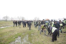 Xaçmazda Ramazan və Novruz münasibətilə ağacəkmə aksiyası keçirildi(FOTO)