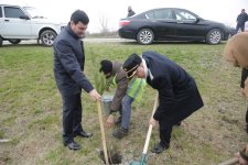 Xaçmazda Ramazan və Novruz münasibətilə ağacəkmə aksiyası keçirildi(FOTO)
