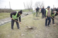 Xaçmazda Ramazan və Novruz münasibətilə ağacəkmə aksiyası keçirildi(FOTO)