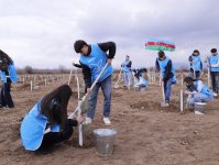 IDEA könüllülərinin iştirakı ilə Tovuzda və Goranboyda 2000-dən çox ağac əkilib (FOTO)