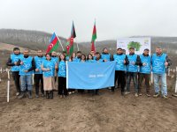 IDEA könüllülərinin iştirakı ilə Tovuzda və Goranboyda 2000-dən çox ağac əkilib (FOTO)