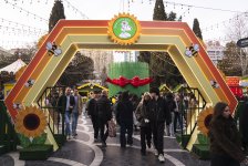 “Nargis” Fondunun təşkilatçılığı ilə “Torpaq Əlimdə, Bahar Ürəyimdə” xeyriyyə yarmarkası keçirilir (FOTO)