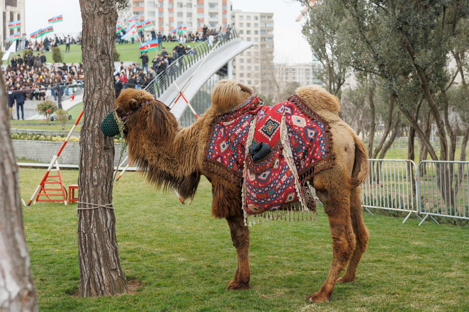 Bakıda Novruz şənliyi (FOTO)