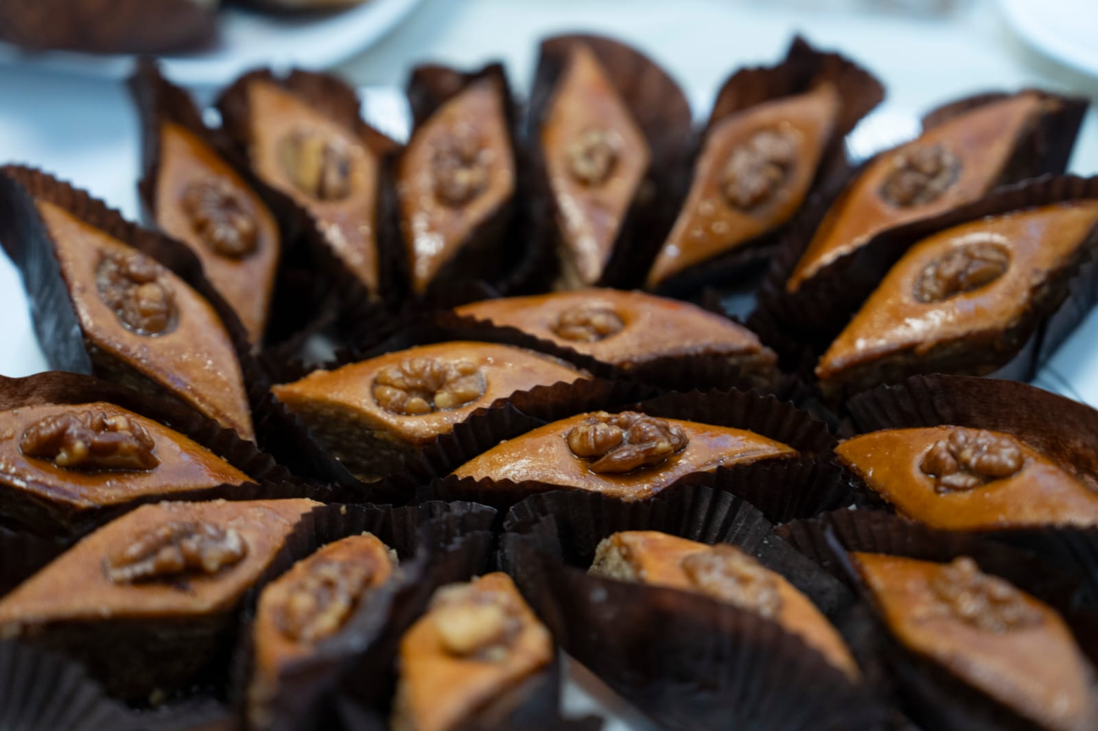 Mexiko şəhərində Novruz bayramına həsr edilmiş təntənəli konsert təşkil edilib (FOTO)