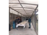 İrandan Azərbaycana ümumilikdə 2 921 nəfər təxliyə edilib (FOTO)