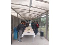 İrandan Azərbaycana ümumilikdə 2 921 nəfər təxliyə edilib (FOTO)