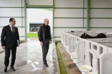 Prezident İlham Əliyev Şamaxıda “Şirvan Aqro” heyvandarlıq kompleksinin açılışında iştirak edib (FOTO)