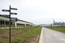 Prezident İlham Əliyev Şamaxıda “Şirvan Aqro” heyvandarlıq kompleksinin açılışında iştirak edib (FOTO)