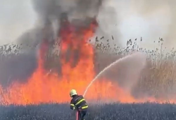 Qazaxda açıq ərazidə yanğın olub (VİDEO)