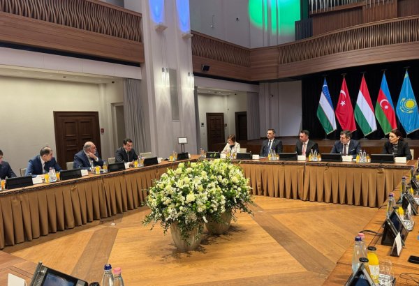 Hikmət Hacıyev TDT ölkələri liderlərinin köməkçilərinin iclasında iştirak edib (FOTO)