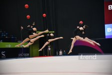 Bakıda bədii gimnastika üzrə 31-ci Ölkə Birinciliyi keçirilib (FOTO)