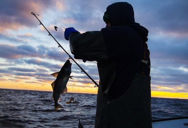 Azərbaycanda hansı vaxtlarda və harada balıq tutmaq qadağandır?