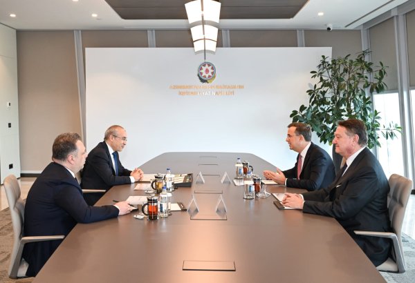 Azərbaycan Türkiyə şirkəti ilə iqtisadi əməkdaşlığı müzakirə edib