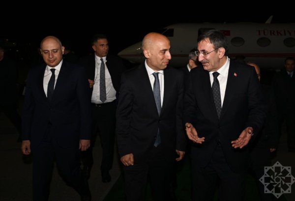 Türkiyənin vitse-prezidenti Azərbaycana səfərə gəlib (FOTO)