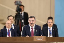 Bakıda TDT-yə üzv dövlətlərin hökumət başçılarının və vitse-prezidentinin görüşü keçirilib (FOTO)(YENİLƏNİB)