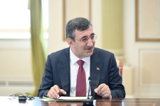 Prezident İlham Əliyev Türk Dövlətləri Təşkilatına üzv dövlətlərin hökumət başçılarının görüşünün iştirakçılarını qəbul edib (FOTO/VİDEO)