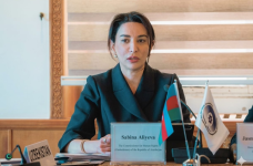 Ombudsman rəqəmsal məkanda insan hüquqlarının müdafiəsinə həsr olunan beynəlxalq tədbirdə iştirak edib (FOTO)