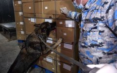 Astara gömrüyündə əməliyyat: Meyvə kisələrinin altından 112 kq narkotik çıxdı (FOTO)