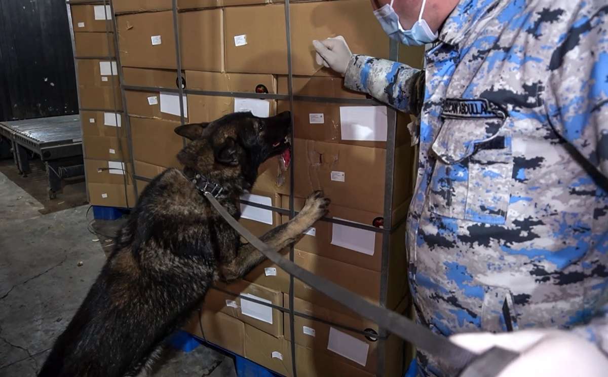 Astara gömrüyündə əməliyyat: Meyvə kisələrinin altından 112 kq narkotik çıxdı (FOTO)