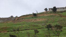 Kəmaləddin Heydərov Badamdardakı sürüşmə zonasında (FOTO/VİDEO)