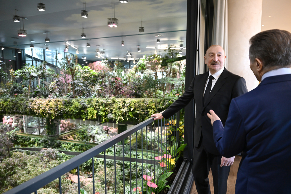 Tbilisidə Prezident İlham Əliyevin şərəfinə lanç verilib (FOTO/VİDEO)