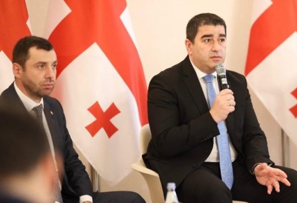 Gürcüstan parlamentində Orta Dəhlizin inkişafı müzakirə olunub