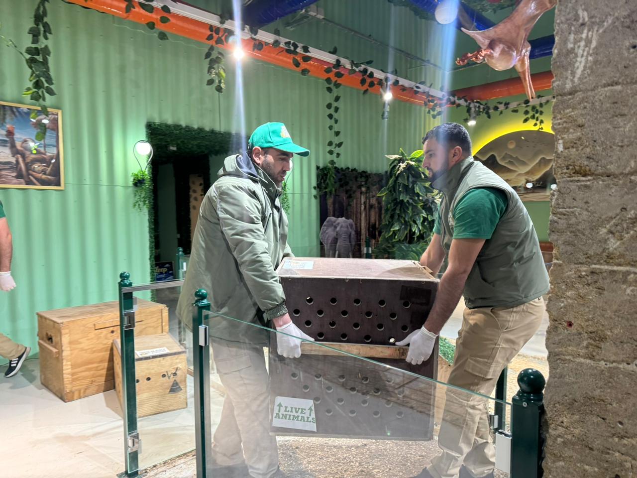 Qanunsuz saxlanılan vəhşi heyvanlar xilas edilib (FOTO)