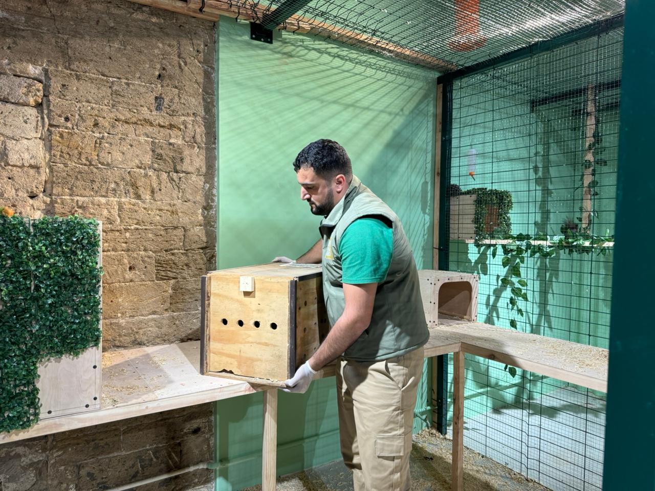 Qanunsuz saxlanılan vəhşi heyvanlar xilas edilib (FOTO)