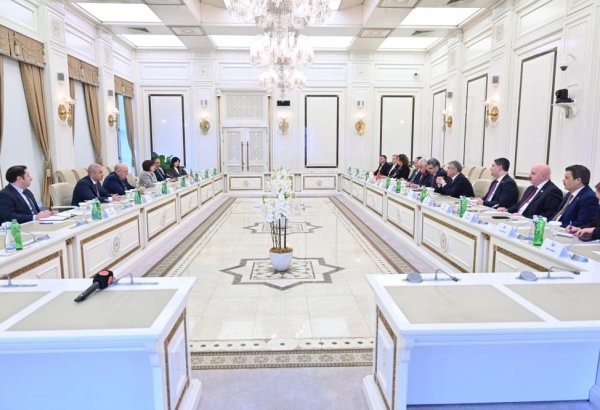 Sahibə Qafarova Azərbaycan, Türkiyə və Şimali Kipr parlamentlərinin dostluq qruplarının 3-cü görüşünün iştirakçıları ilə görüşüb (FOTO)