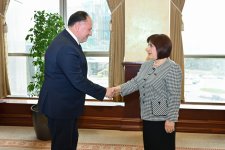 Sahibə Qafarova Azərbaycan, Türkiyə və Şimali Kipr parlamentlərinin dostluq qruplarının 3-cü görüşünün iştirakçıları ilə görüşüb (FOTO)