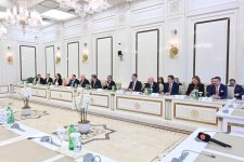 Sahibə Qafarova Azərbaycan, Türkiyə və Şimali Kipr parlamentlərinin dostluq qruplarının 3-cü görüşünün iştirakçıları ilə görüşüb (FOTO)