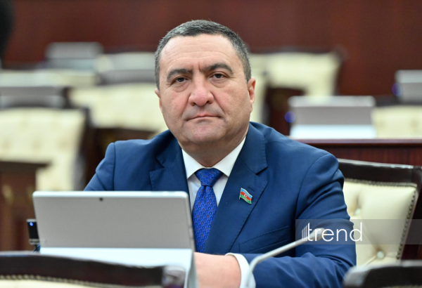 Deputat büdcə vəsaitini mənimsəyənlərə vəzifə qadağası təklif etdi